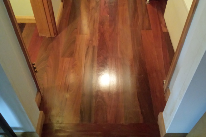 Brazilian Walnut